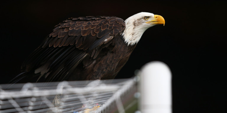Crystal Palace made enquiry over Aston Villa target