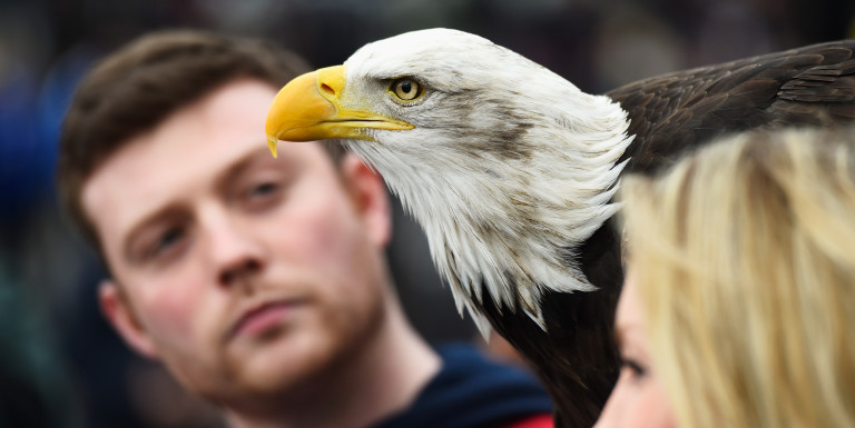Alleged eagle puncher appears in court