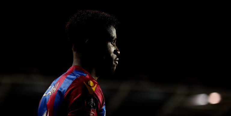 How much do you know about Wilfried Zaha?