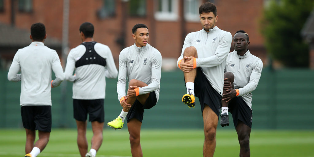 Palace hoping to sign Marko Grujic on loan