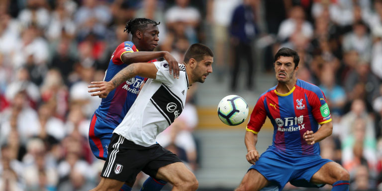 Hodgson singles out Wan-Bissaka for praise