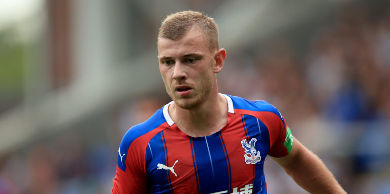 Crystal Palace fans all on Roy Hodgson to start Max Meyer