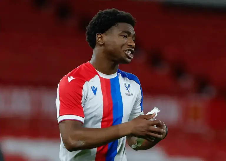 Crystal Palace Suffer Defeat to Manchester United in FA Youth Cup