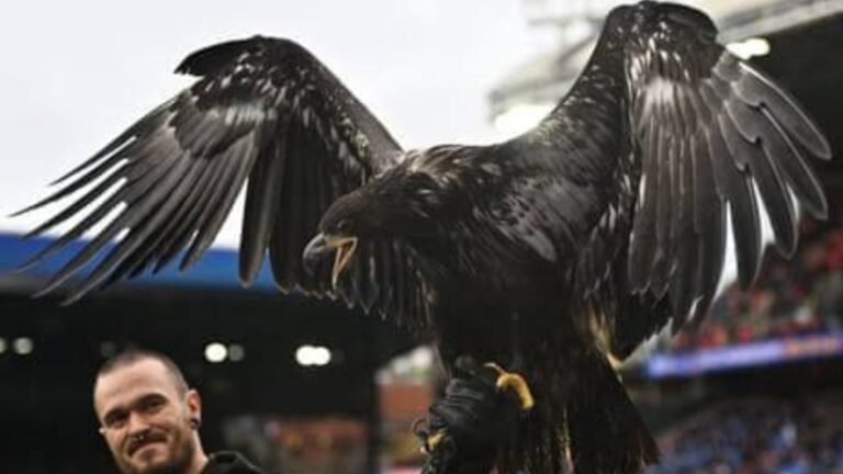Crystal Palace eagle mascot